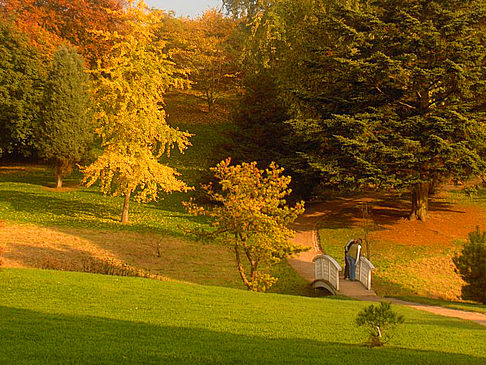 Foto Botanischer Garten